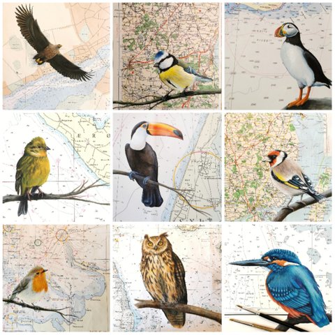 fuglebilleder - fugle på kort - fuglekunst